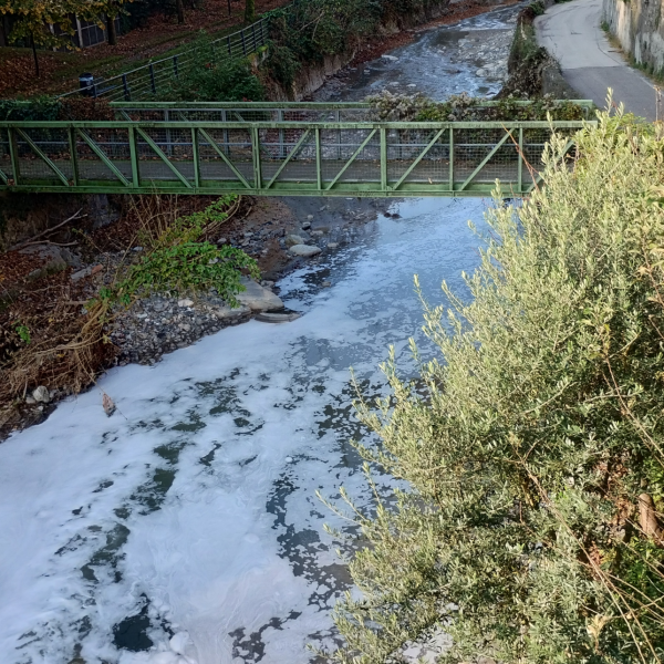 Cosia-Schiuma-18-novembre-1