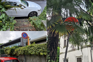 Divieti-Sosta-Rosales-Combo