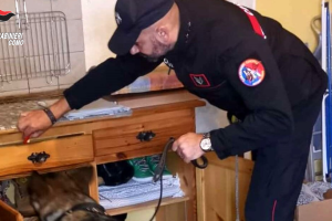 Droga-Bellagio-Carabinieri-Cane