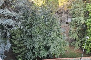 Erba_parco_via_Volta_parcheggi_1