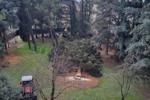 Erba_taglio alberi v. Volta_21213_r