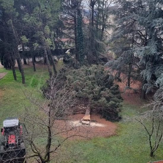 Erba_taglio alberi v. Volta_21213_r