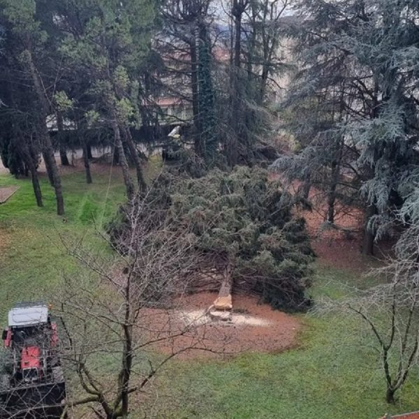 Erba_taglio alberi v. Volta_21213_r