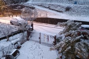 FB_IMG_1770101717755