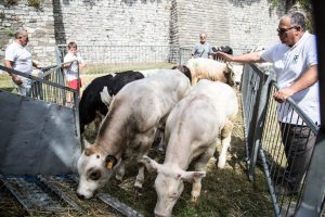 FIera_Zootecnica_Como_Porta_Torre-1111