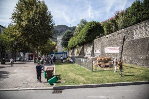 FIera_Zootecnica_Como_Porta_Torre-7569