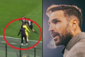 Fabregas-Combo-1