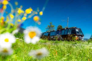 Ferrovia-Vigezzina-Centovalli
