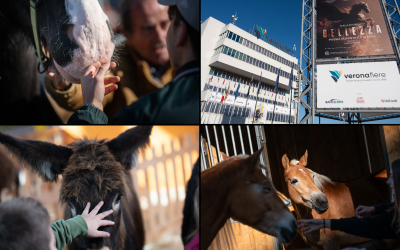 Fiera-Cavalli-Verona-Combo