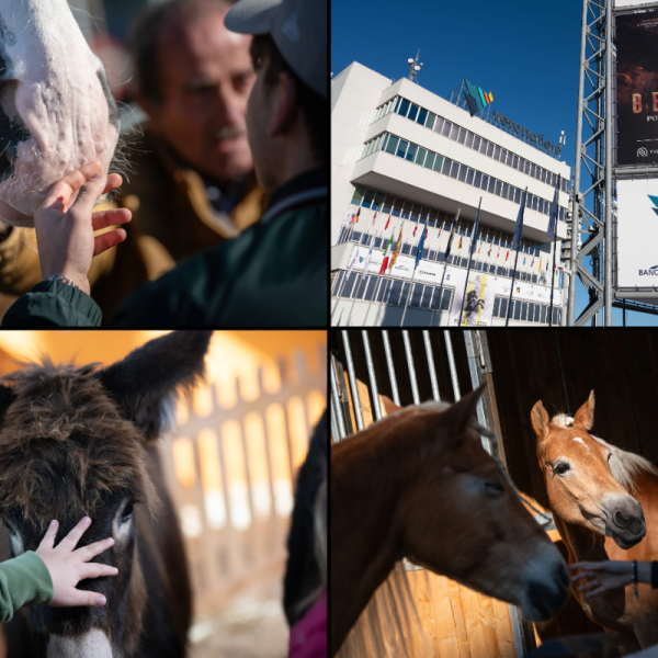 Fiera-Cavalli-Verona-Combo