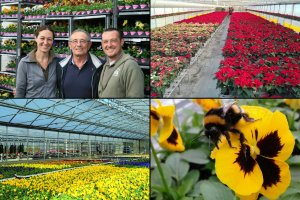 Floricoltura-Pironi-Combo