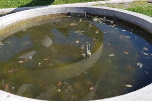 Fontana di Camerlata (4)
