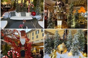 FotoGrid_20251108_071650130