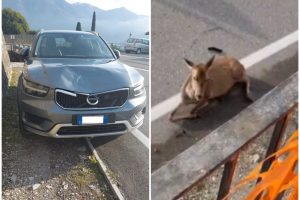 FotoGrid_20251203_105218505