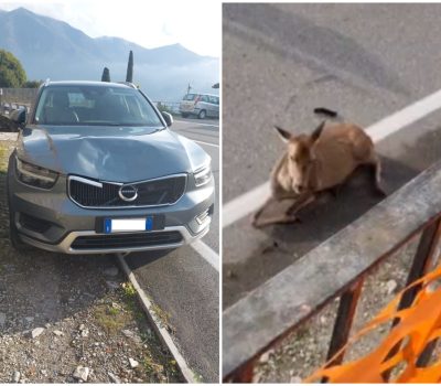 FotoGrid_20251203_105218505