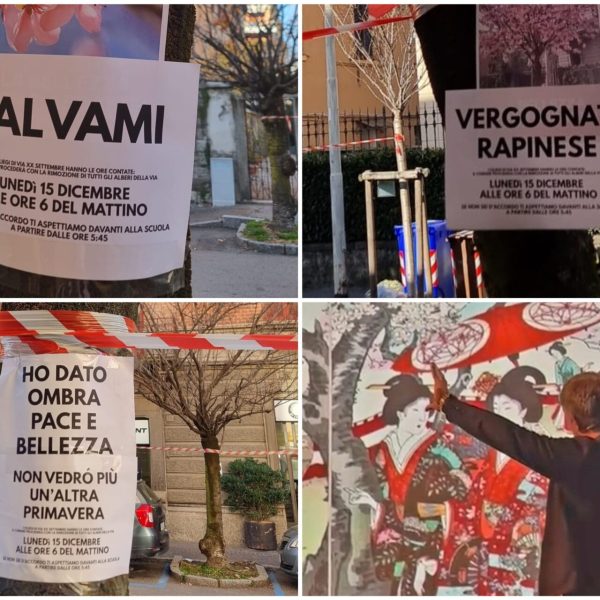 FotoGrid_20251212_130544780