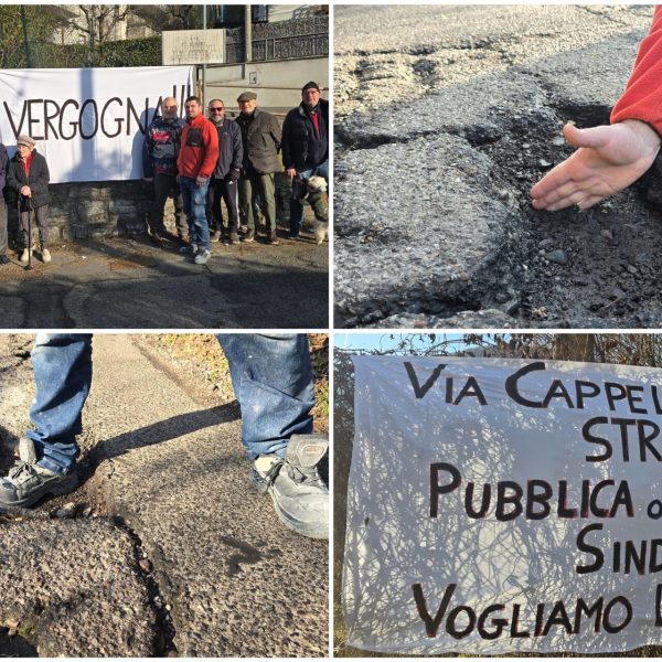 FotoGrid_20260121_110530159