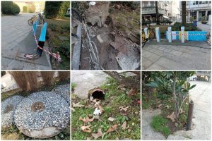 FotoGrid_20260123_083115522-1536x1024