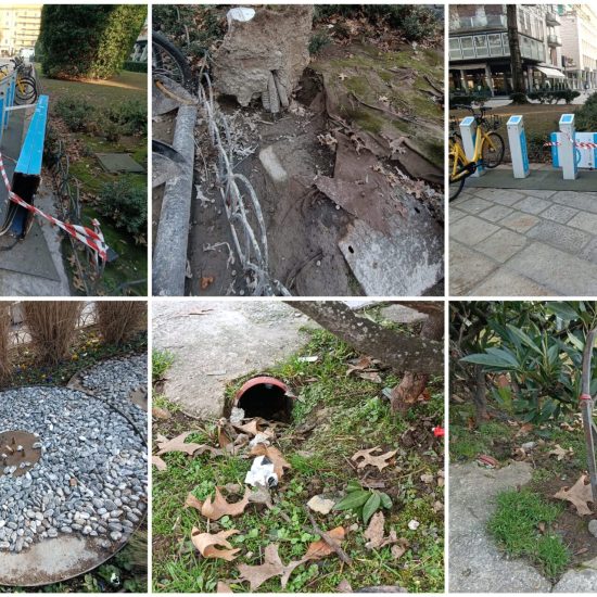 FotoGrid_20260123_083115522