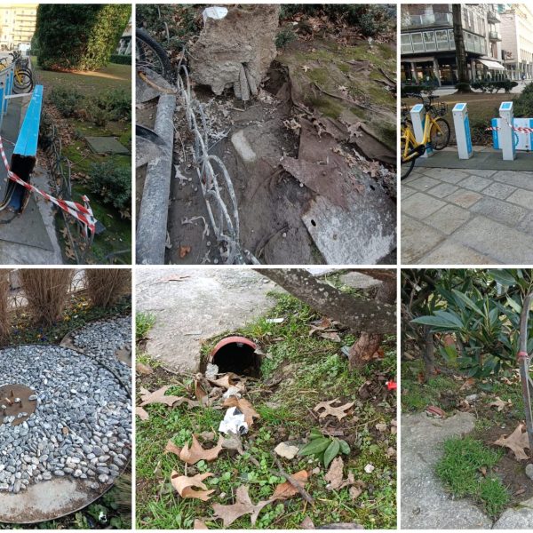 FotoGrid_20260123_083115522