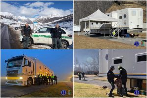 FotoGrid_20260203_135733801