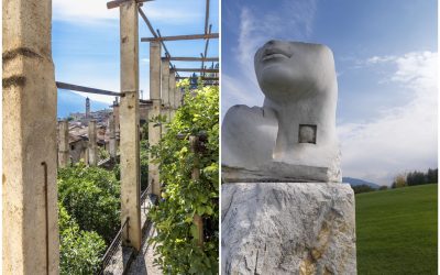 FotoGrid_20260304_125916766