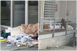 FotoGrid_20260313_100949381