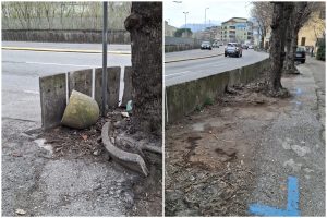 FotoGrid_20260313_150854021