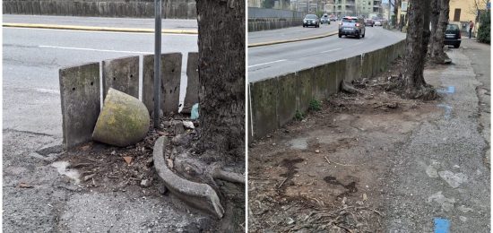 FotoGrid_20260313_150854021