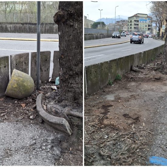 FotoGrid_20260313_150854021