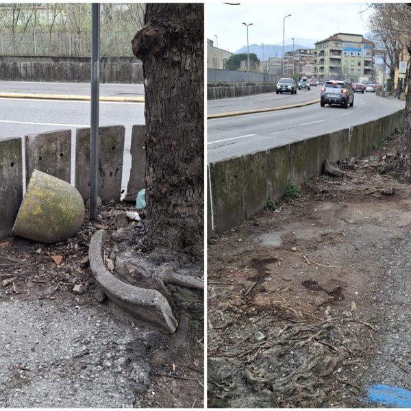 FotoGrid_20260313_150854021