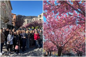 FotoGrid_20260328_130016010