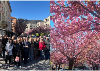 FotoGrid_20260328_130016010