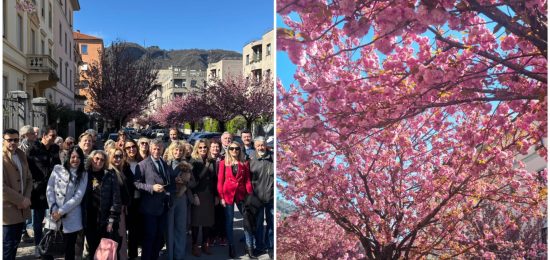 FotoGrid_20260328_130016010