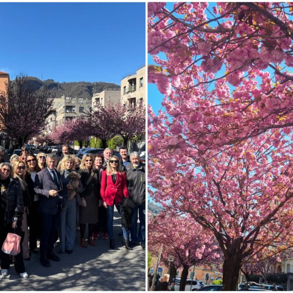 FotoGrid_20260328_130016010