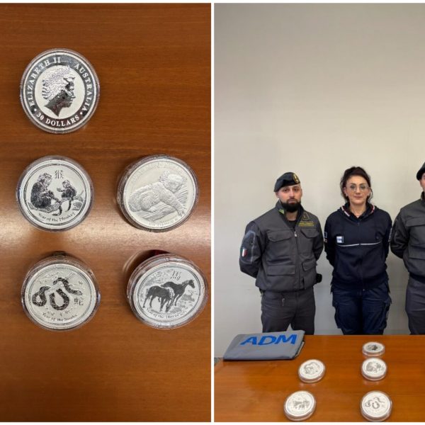 FotoGrid_20260331_090437775