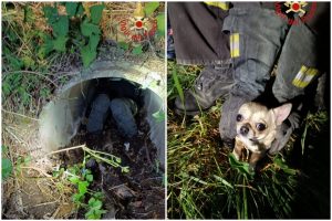 FotoGrid_20260406_102633339