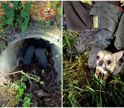 FotoGrid_20260406_102633339