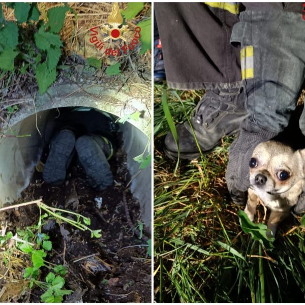 FotoGrid_20260406_102633339