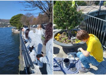 FotoGrid_20260407_085636209