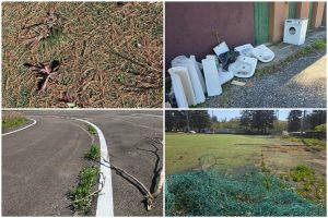 FotoGrid_20260407_190751511