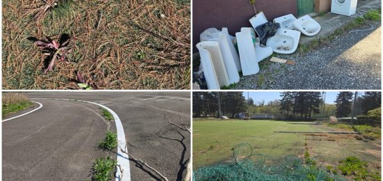 FotoGrid_20260407_190751511