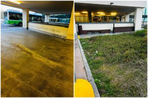 FotoGrid_20260408_110528432