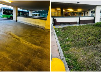 FotoGrid_20260408_110528432