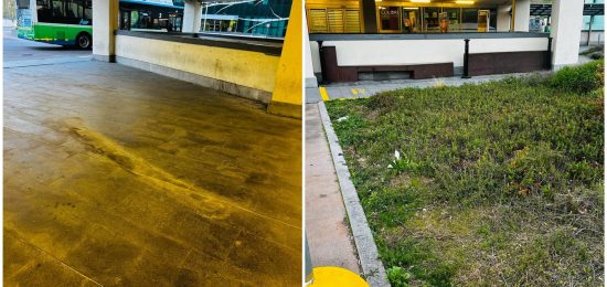 FotoGrid_20260408_110528432