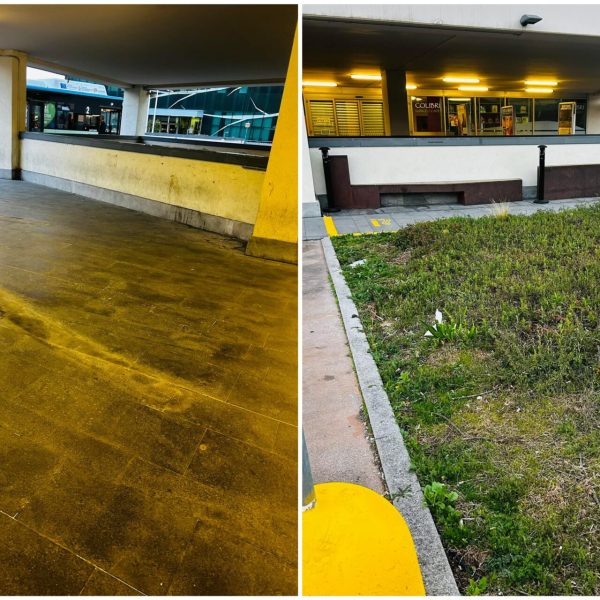 FotoGrid_20260408_110528432