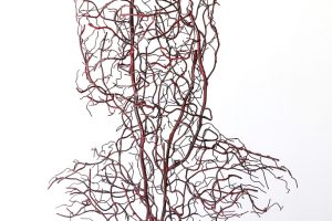Francesco-di-luca-mostra (7)