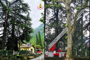 Fulmine-Albero-Lierna-Vigili-Fuoco-Combo