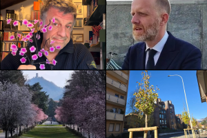 Gaddi-Rapinese-Ciliegi-Peri