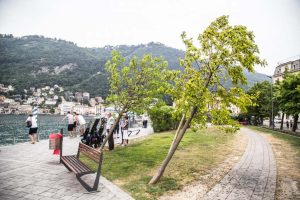 Gelsi_lago-4288